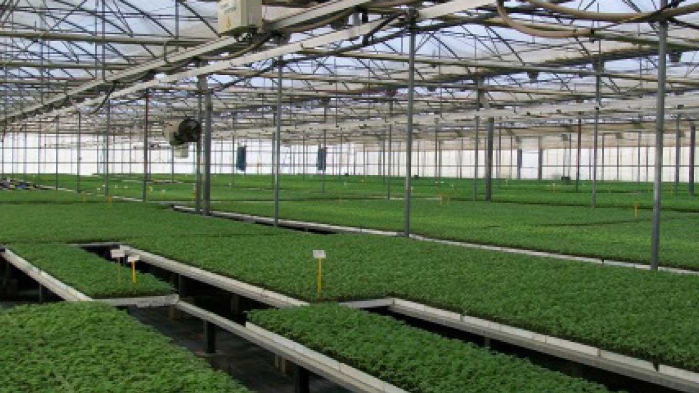 Greenhouses. Green Tech Model