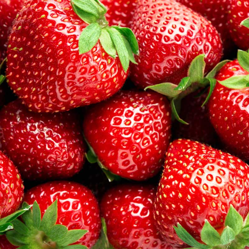 Strawberry. Green Tech Model